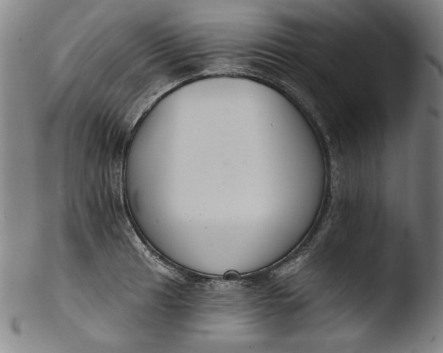 X0000103401041200809261615