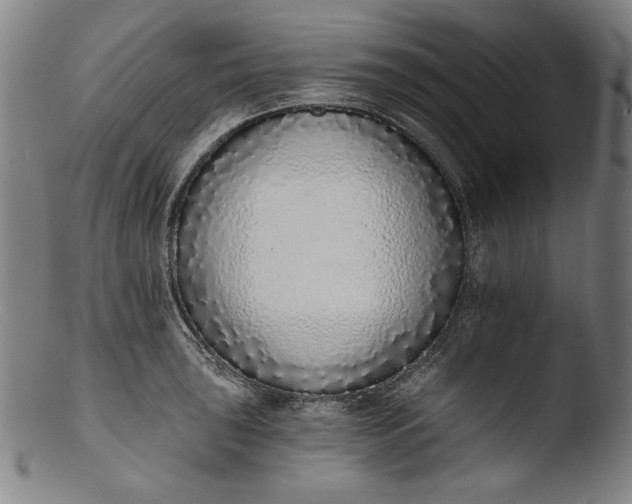 X0000103401043200809261615