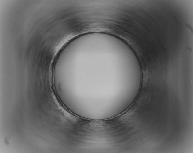 X0000103401046200809261615