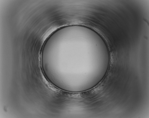 X0000103401047200809261615