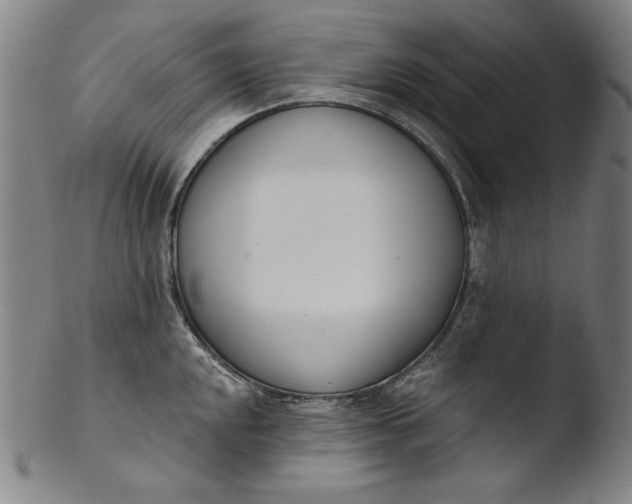 X0000103401048200809261615