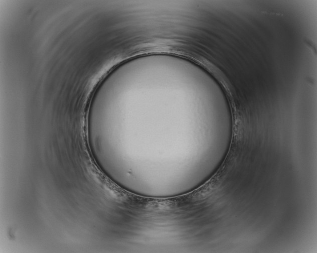 X0000103401051200809261615