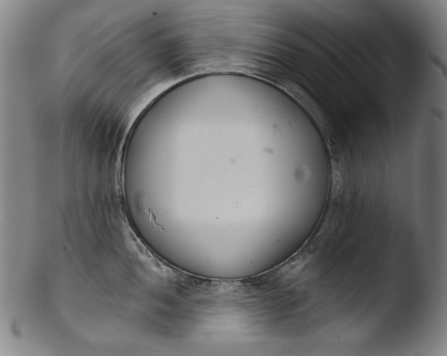 X0000103401052200809261615