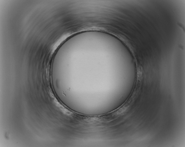 X0000103401054200809261615