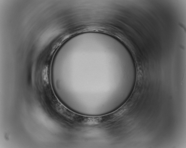 X0000103401055200809261615