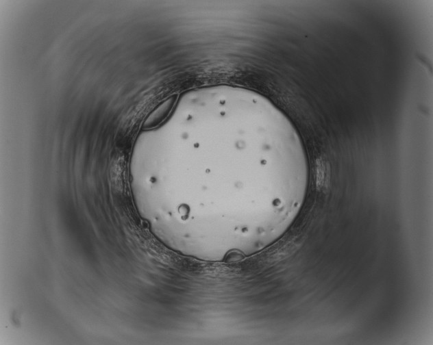 X0000103401059200809261614