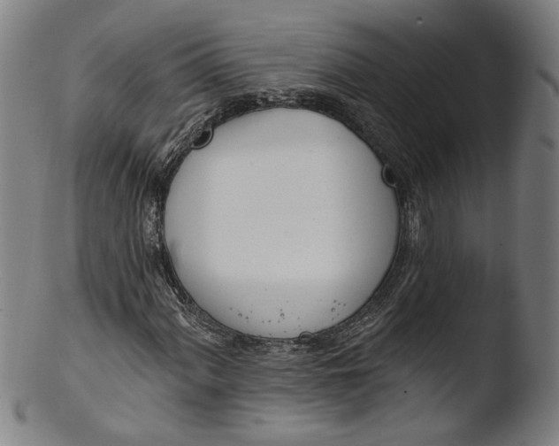 X0000103401060200809261614