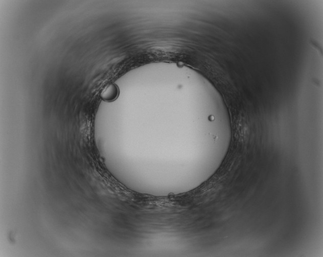 X0000103401061200809261614