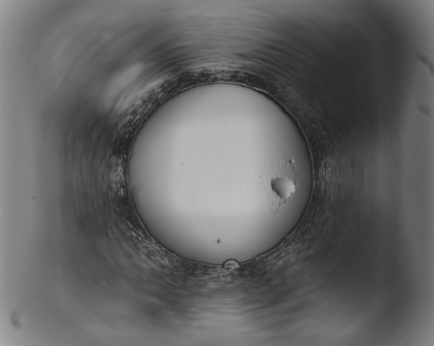 X0000103401062200809261614