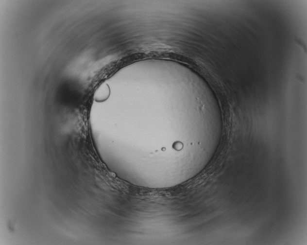 X0000103401063200809261614