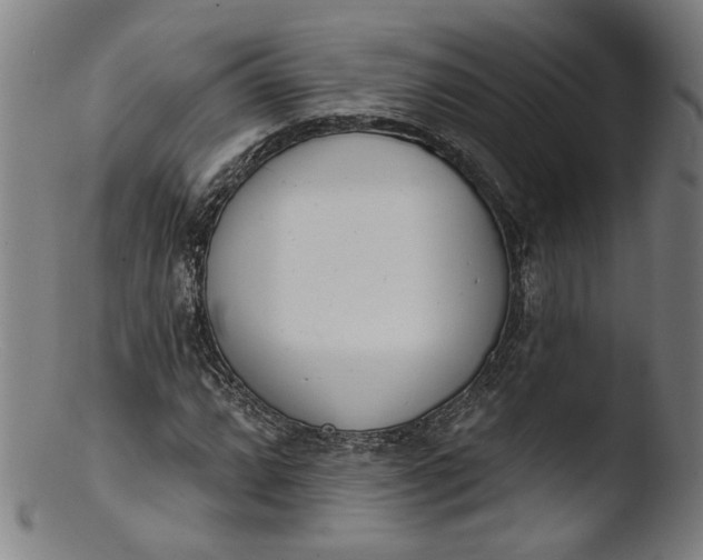 X0000103401064200809261614