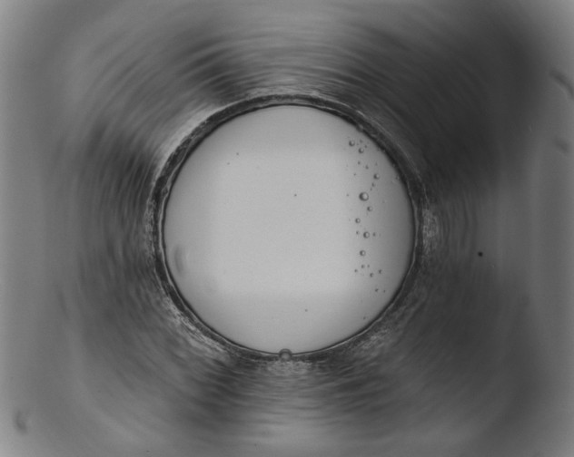 X0000103401068200809261614