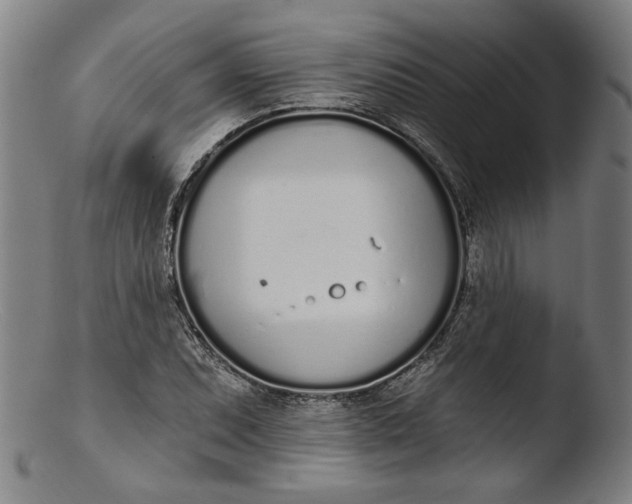 X0000103401071200809261614