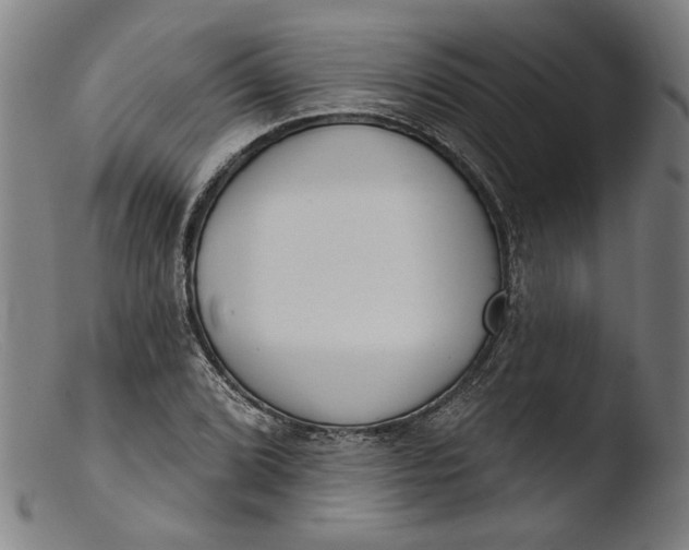 X0000103401072200809261614