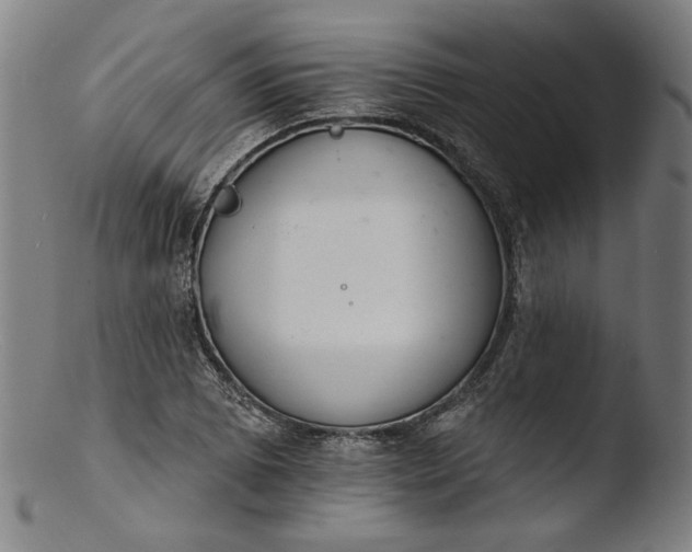 X0000103401073200809261614