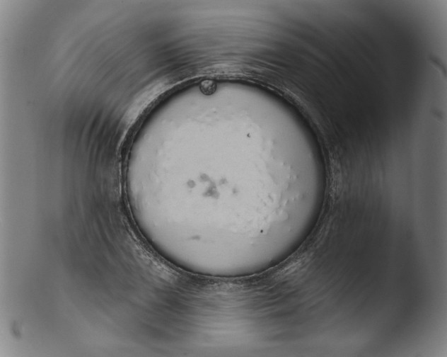 X0000103401075200809261614