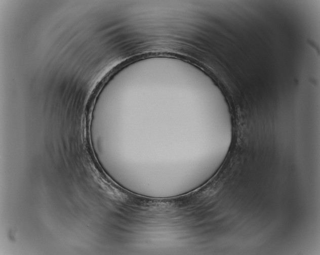 X0000103401076200809261614