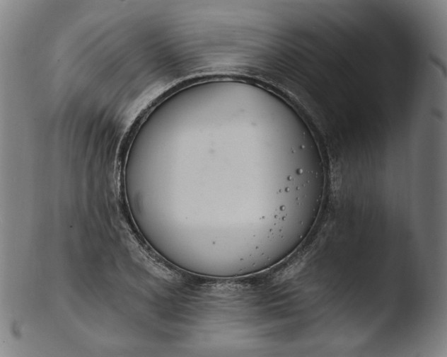 X0000103401077200809261614