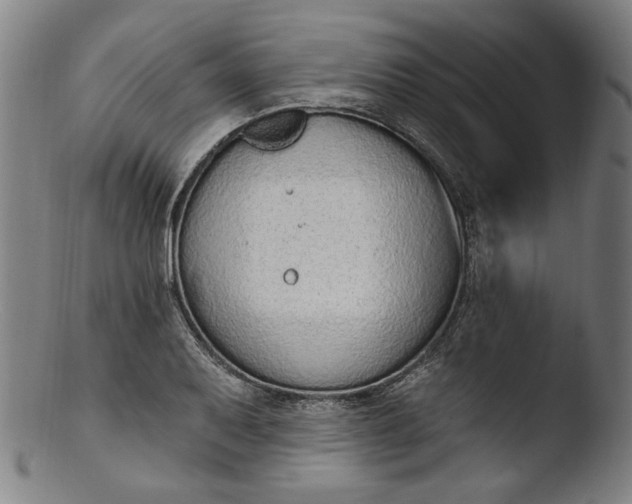 X0000103401079200809261614