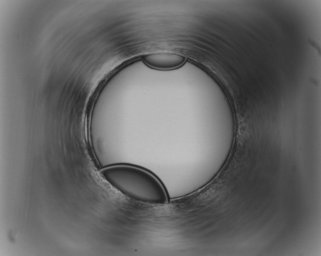 X0000103401080200809261614