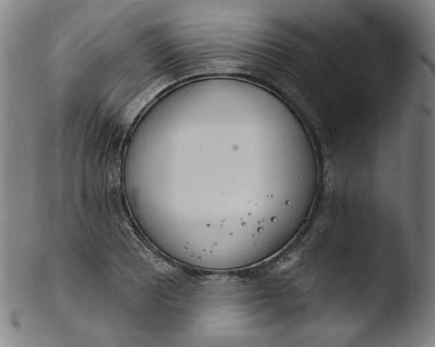 X0000103401081200809261614