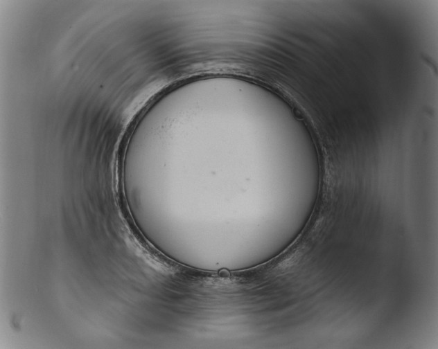 X0000103401082200809261614