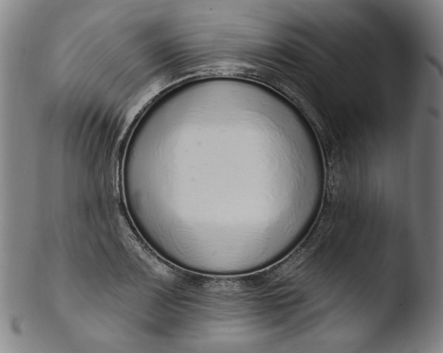 X0000103401083200809261614