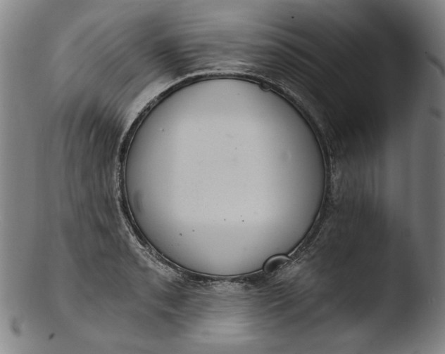 X0000103401085200809261614