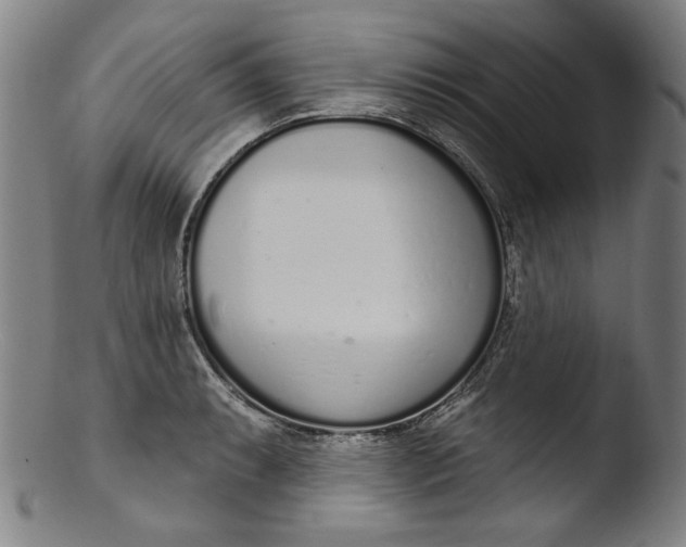 X0000103401087200809261614