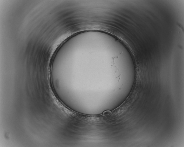 X0000103401088200809261614