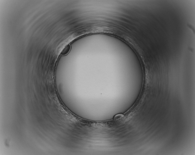 X0000103401089200809261614