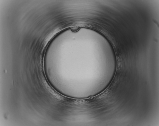 X0000103401091200809261614