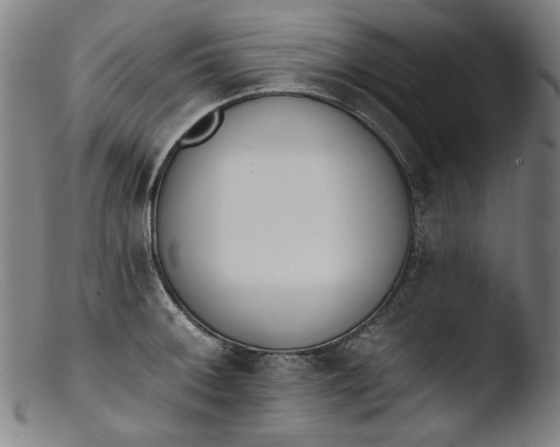 X0000103401092200809261614