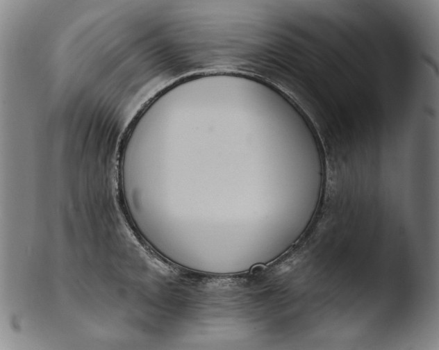 X0000103401093200809261614