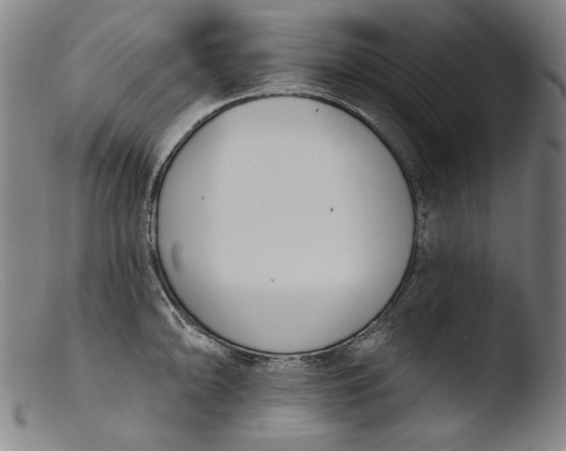 X0000103401094200809261614