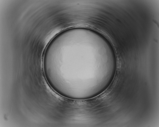 X0000103401095200809261614