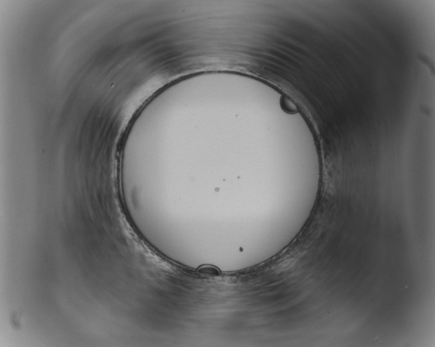 X0000103401096200809261614