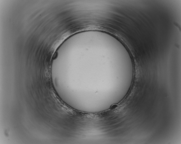 X0000103401097200809261614