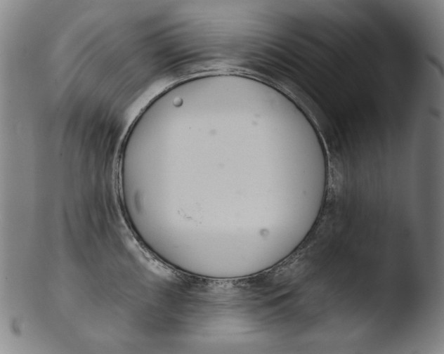 X0000103401098200809261614