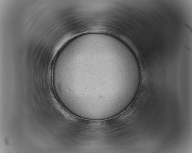 X0000103401099200809261614