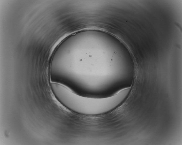 X0000103401100200809261614