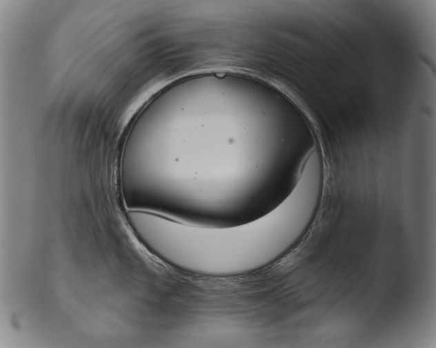 X0000103401101200809261614