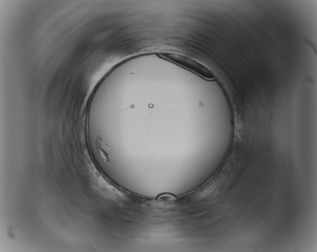 X0000103401102200809261614