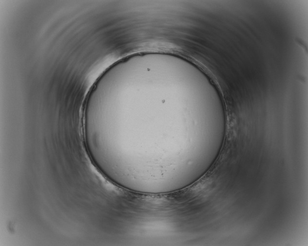 X0000103401103200809261614