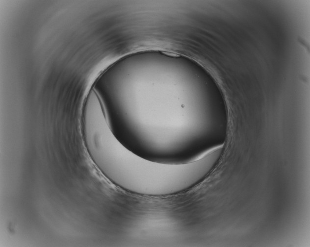 X0000103401104200809261614