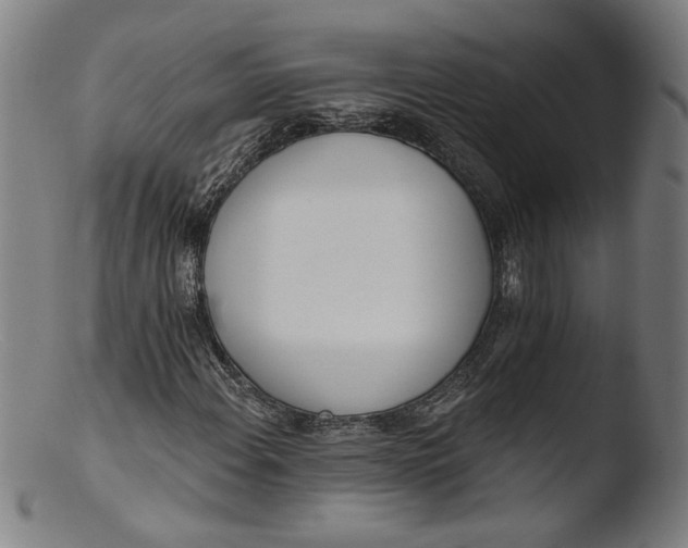 X0000103401108200809261613