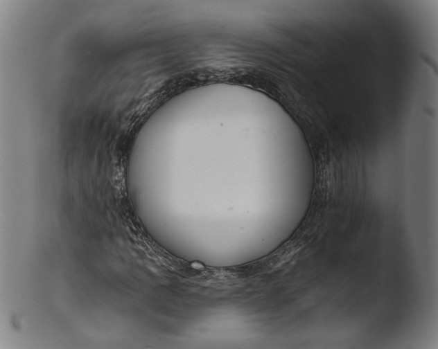 X0000103401109200809261613