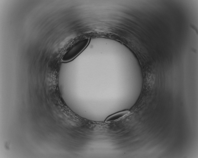 X0000103401110200809261613