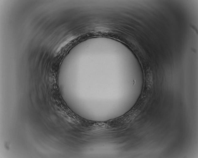 X0000103401112200809261613