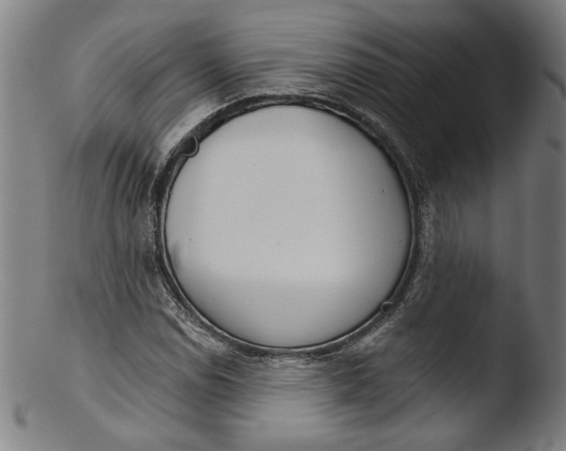 X0000103401114200809261613